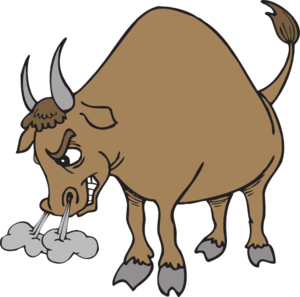 bull angry