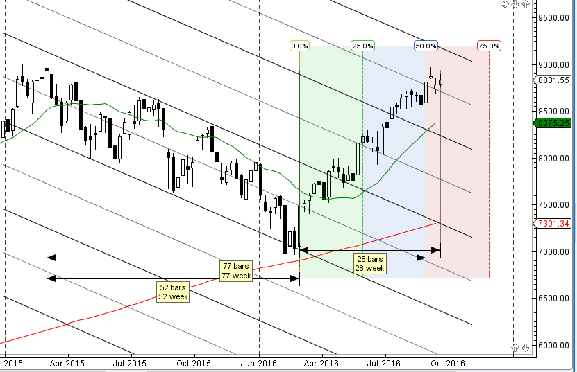 nifty-weekly-timeline