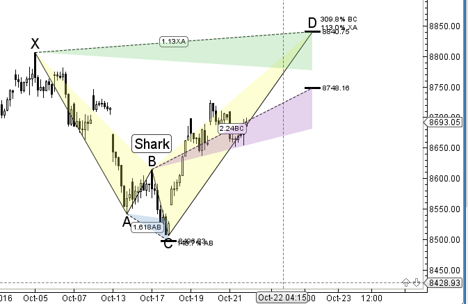 shark_bearish